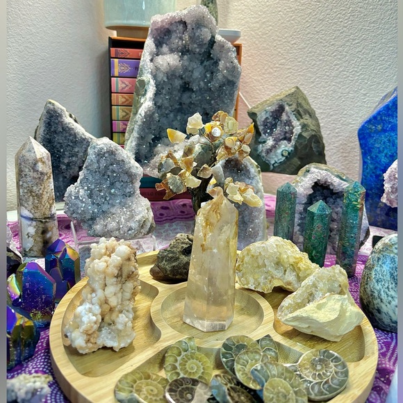 NEW UNLISTED ITEMS (FINAL SALE) - Picture 5 of 6